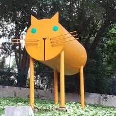 Gato