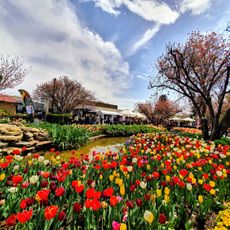 Corbett Gardens