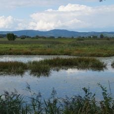 Alte Donau WSW von Pfatter