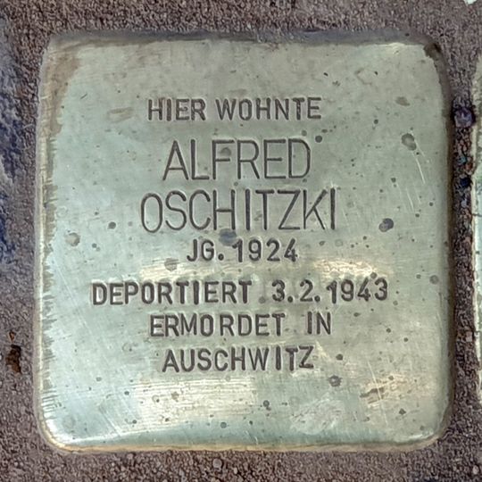 Stolperstein dedicated to Alfred Oschitzki
