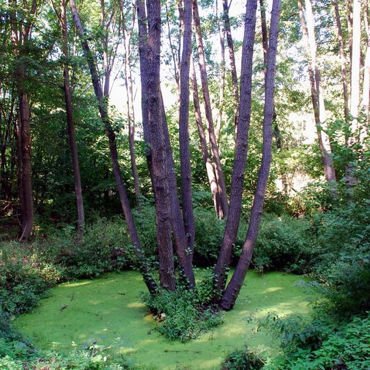 Parc national de Kholodny Yar