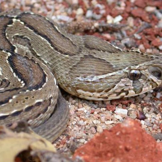 Mrugavani National Park