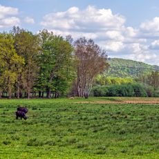 Landstuhler Bruch - Oberes Glantal