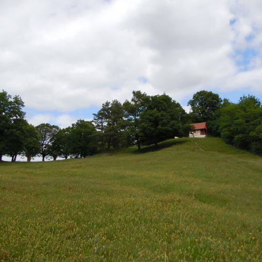 26 Linden am Galgenrain