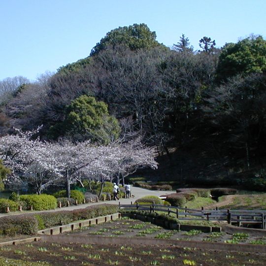 Yakushi-ike Park