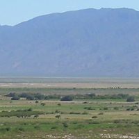 Coahuila