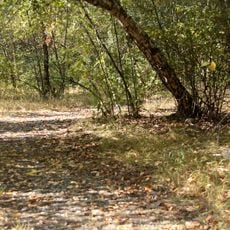 Surrey Bend Regional Park