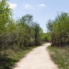 Narcisse Wildlife Management Area