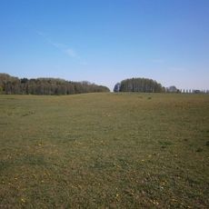 Burgwall Hungerstorf