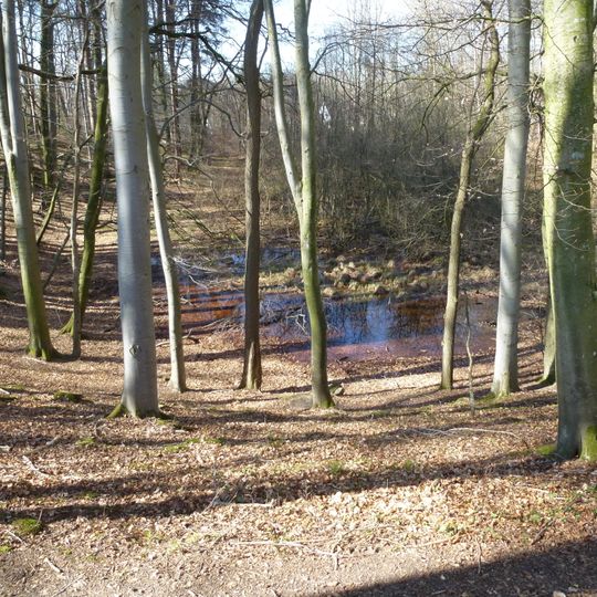 Toteiskessel E von Wildenroth