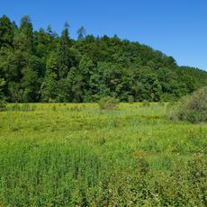Kapellenhalde–Wüster See