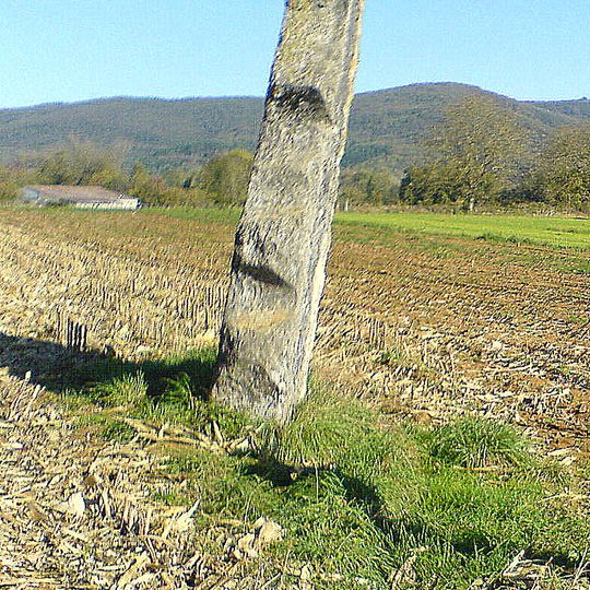 Pierre Fiche menhir