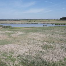 Nový rybník (nature reserve)