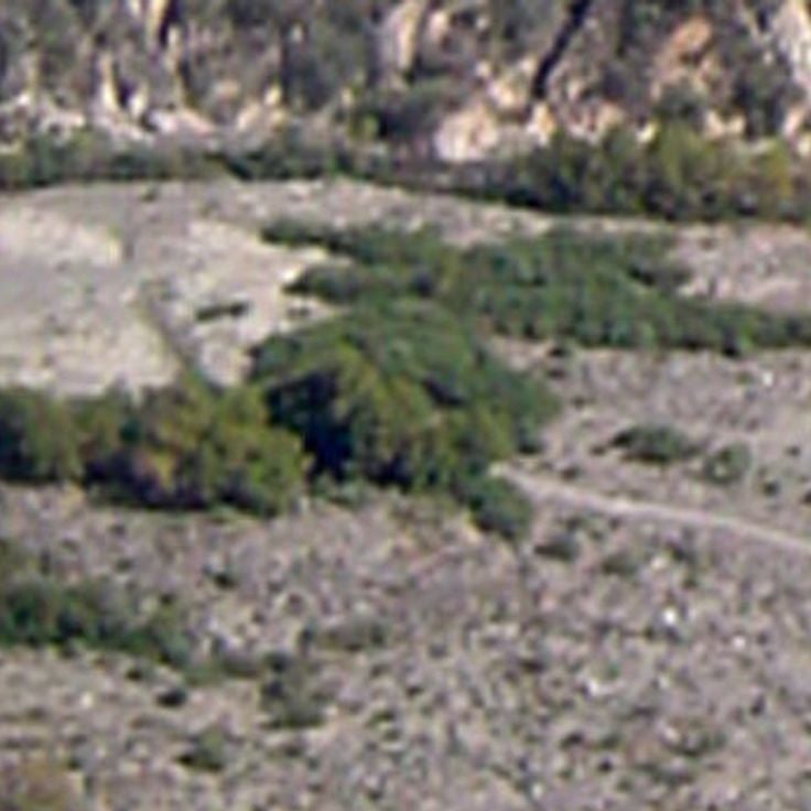 Metztitlán Canyon Reservat