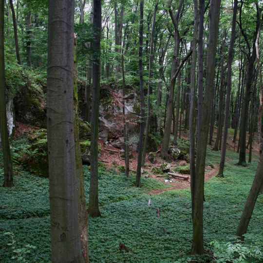 Rezerwat przyrody Sokole Góry