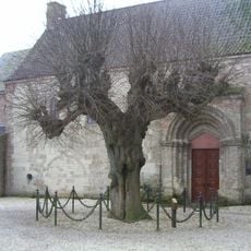 N.H. kerk en plaquette bij de lindeboom