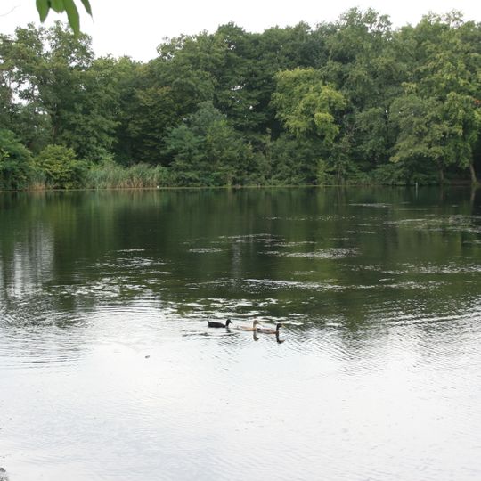 Trerichsweiher / Untere Aggeraue