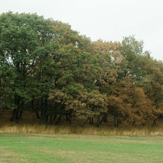 Zwischen Vicht und Mausbach