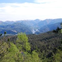 Bjørnafjorden Municipality