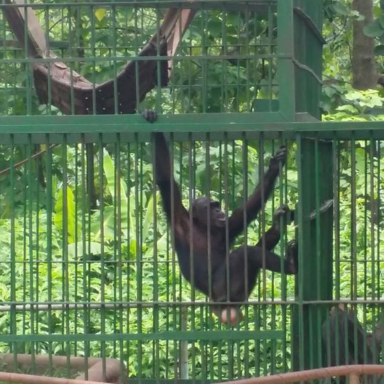 Kumasi Zoo