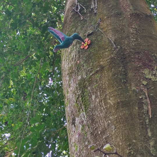 Escultura Naif - O Beija Flor