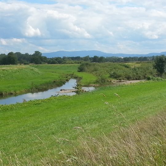 Acher-Rench-Korrektion