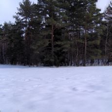 Rezerwat przyrody Łąka Sulistrowicka