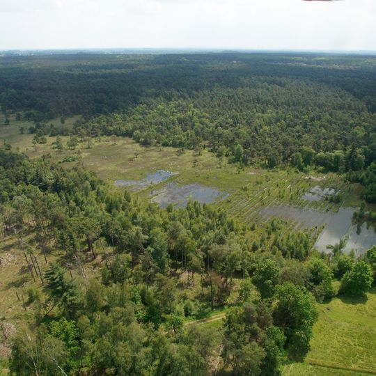 NSG Hochmoor Borkenberge