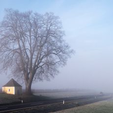 Kapellenlinde von Baumgarting