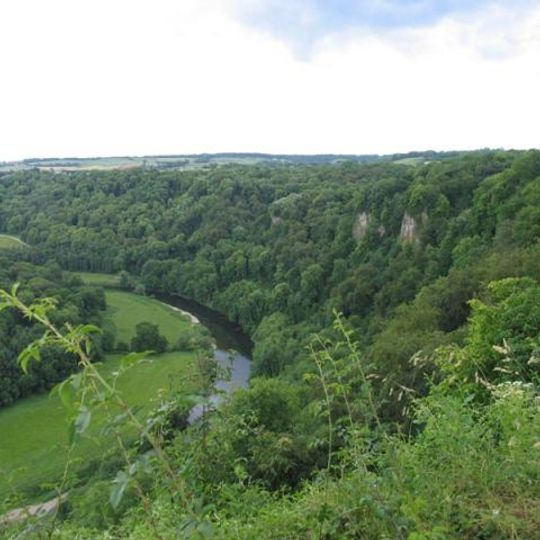 Upper Wye Gorge