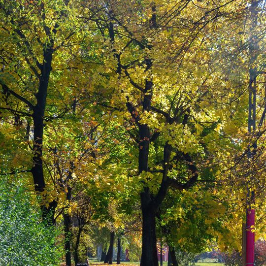 Włodzimierz Mazur Park in Sosnowiec