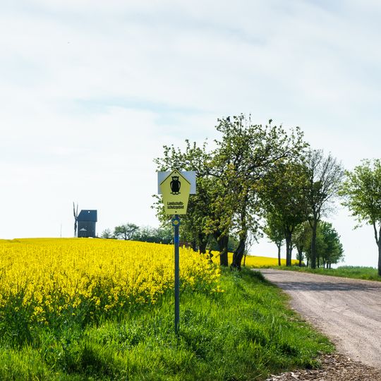 Alte Salzstraße Liebschütz
