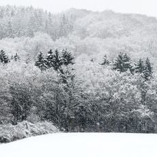 Landschaftsschutzgebiet L 2.06.03