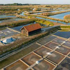 Marais salants de la Vie