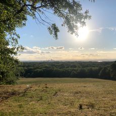 Wickham Park