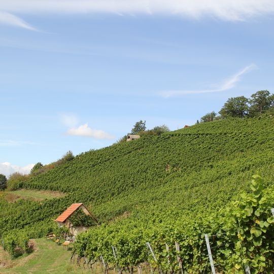 Weinberg Apostelgarten