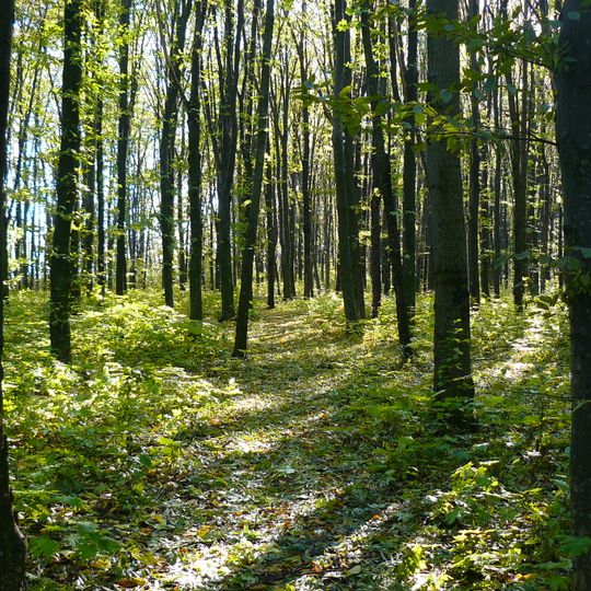 Kaliuskyi Nature Reserve