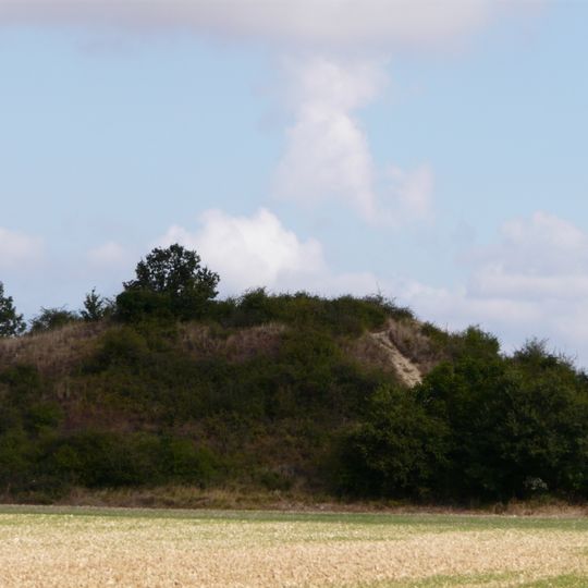 Tumulus de la Motte de Puytaillé