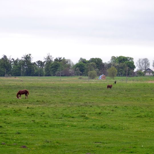 Makarevychivskyi park, Omelne