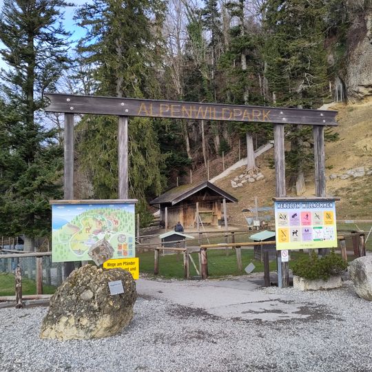 Alpenwildpark Pfänder