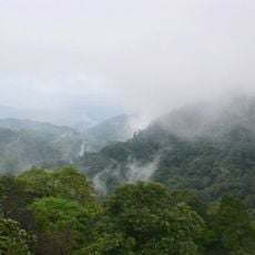 Brahmagiri Wildlife Sanctuary