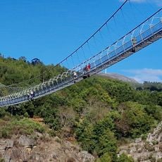 516 Arouca