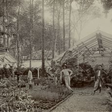 's Lands Plantentuin