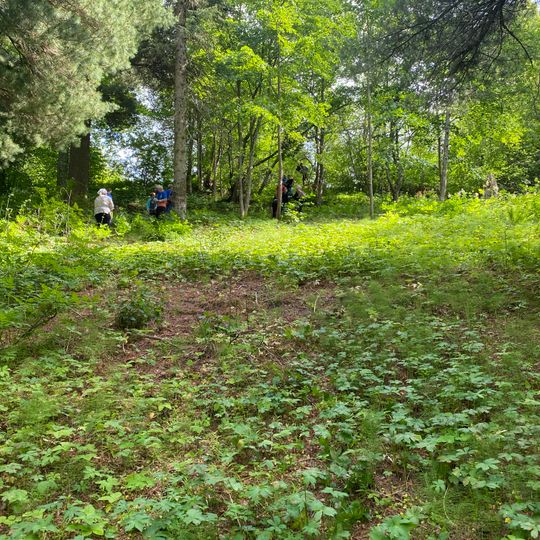 Усадьба «Минкино»