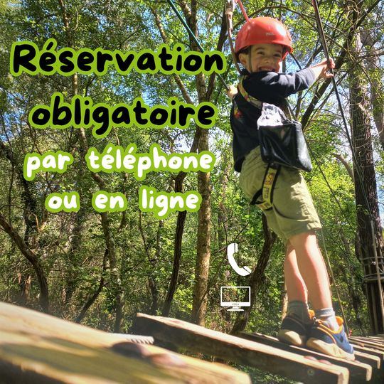 Perched live, Adventure Park