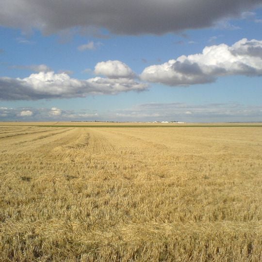Meseta