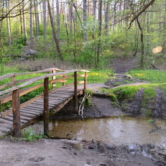 Dzvinkivskyi Reserve