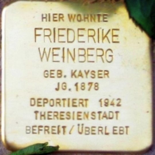 Stolperstein für Friederike Weinberg