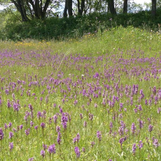 Am Galgenteich Altenberg