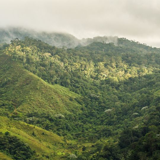 Alto Cariri National Park